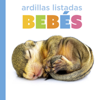 Ardillas listadas bebés B0GHMR2NGH Book Cover
