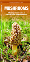 Mushrooms: An Introduction to Familiar North American Species 1583551824 Book Cover
