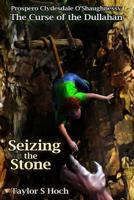 Seizing The Stone 107138211X Book Cover