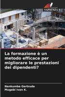 La formazione è un metodo efficace per migliorare le prestazioni dei dipendenti? 6205718413 Book Cover