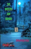 30 Miles An Hour B0CVHDHTPJ Book Cover