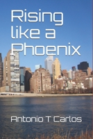 Rising like a Phoenix 1520827369 Book Cover