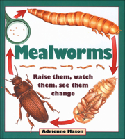Mealworms: Raise them, watch them, see them change 1550745069 Book Cover