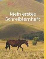 Mein Erstes Schreiblernheft : Schreiblernheft F?r Schreibanf?nger. Extra Gro?e Linienabst?nde F?r Erste Schreib?bungen. 1. Klasse Lineatur Mit Haus. F?r Kinder Im Kindergarten, Vorschule Oder 1. Klass 1799287971 Book Cover