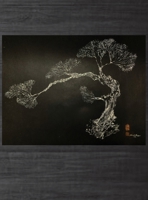 Matsu B0F7KF82W3 Book Cover