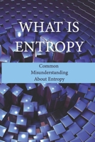 What Is Entropy: Common Misunderstanding About Entropy: Entropy Meaning B096D1G8QB Book Cover