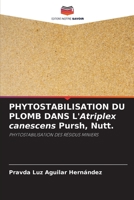 PHYTOSTABILISATION DU PLOMB DANS L'Atriplex canescens Pursh, Nutt. (French Edition) 6206467643 Book Cover