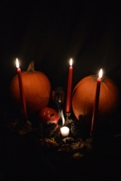 Tales of the Darkening Year: A Collection of Holiday Stories B0BP98Z8CX Book Cover