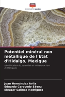 Potentiel minéral non métallique de l'État d'Hidalgo, Mexique (French Edition) 6209032311 Book Cover