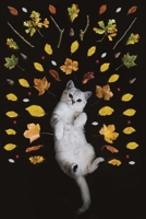 Carnet de Mots de Passe - Sites Internet: Le titre n’apparaît sur la couverture - Petit organiseur avec onglets alphabétiques de A à Z pour se ... des sites web (French Edition) 1672211344 Book Cover