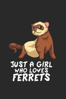 Frettchen Notizbuch: Frettchen Notizbuch f�r Liebhaber / Notizheft / Notizblock A5 (6x9in) Dotted Notebook / Punkteraster / 120 gepunktete Seiten 1671314468 Book Cover