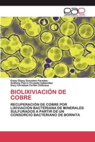Biolixiviación de Cobre 6200386749 Book Cover