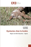 Dystocies chez la brebis: Région de KSR El Boukhari - Algérie 6139524806 Book Cover