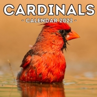Cardinals Calendar 2022: 16-Month Calendar, Cute Gift Idea For Bird Lovers Women & Men null Book Cover