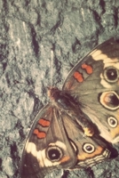 Young Shadows 1724225812 Book Cover