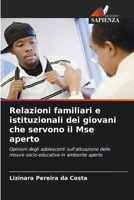 Relazioni familiari e istituzionali dei giovani che servono il Mse aperto 6207297016 Book Cover