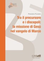 Tra Il Precursore E I Discepoli: La Missione Di Gesu 8876537120 Book Cover