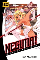 Negima! Magister Negi Magi, Vol. 30 1935429574 Book Cover