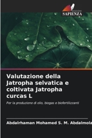 Valutazione della Jatropha selvatica e coltivata Jatropha curcas L (Italian Edition) 6209760287 Book Cover