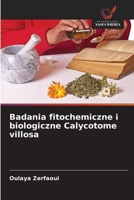 Badania fitochemiczne i biologiczne Calycotome villosa (Polish Edition) 6209515126 Book Cover