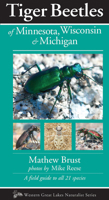 Tiger Beetles of Minnesota, Wisconsin & Michigan (Naturalist Series) 1936571129 Book Cover