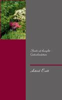 Shreds of thoughts - Gedankenfetzen 3732236749 Book Cover