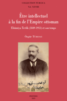 Etre Intellectuel a la Fin de l'Empire Ottoman: Ebuzziya Tevfik (1849-1913) Et Son Temps 9042945125 Book Cover