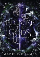 Because the Gods Left 1969333057 Book Cover