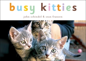 Busy Kitties 1582461309 Book Cover