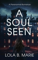 A Soul Seen B0FLJNZ343 Book Cover