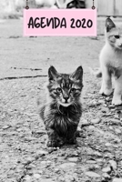 Agenda 2020: Hebdomadaire 1 Semaine par page Format A5 | Janvier 2020 à Décembre 2020 | Planificateur Organiseur Semainier avec Calendrier et Carnet ... Pour les Amoureux des Chats (French Edition) 1711293733 Book Cover