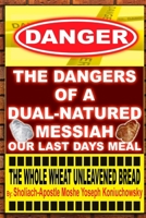 The Dangers Of A Dual Natured Messiah 1072010585 Book Cover