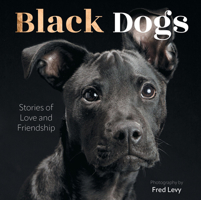 Black Dogs: Stories of Love and Friendship 0760394504 Book Cover