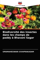 Biodiversité des insectes dans les champs de paddy à Bhavani Sagar 6204049445 Book Cover