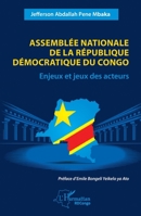 Assemblée nationale de la République démocratique du Congo: Enjeux et jeux des acteurs (Harmattan Rdc) (French Edition) 233659904X Book Cover