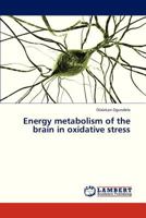 Energy metabolism of the brain in oxidative stress 3844359575 Book Cover