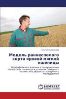 Model' rannespelogo sorta yarovoy myagkoy pshenitsy: Morfofiziologicheskie i selektsionnye pokazateli pshenitsy v usloviyakh Severnogo Kazakhstana: rezul'taty nauchnogo issledovaniya 3845477903 Book Cover