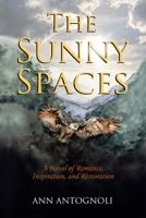 The Sunny Spaces: A Novel of Romance, Inspiration, and Restoration 0996024115 Book Cover