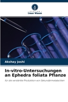 In-vitro-Untersuchungen an Ephedra foliata Pflanze 6204110683 Book Cover