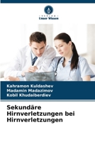 Sekundäre Hirnverletzungen bei Hirnverletzungen 6205685655 Book Cover