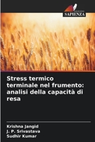Stress termico terminale nel frumento: analisi della capacità di resa 620528569X Book Cover