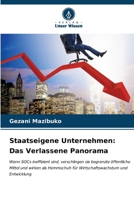 Staatseigene Unternehmen: Das Verlassene Panorama 6206637689 Book Cover