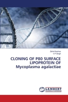 CLONING OF P80 SURFACE LIPOPROTEIN OF Mycoplasma agalactiae 6207469828 Book Cover