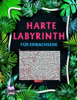 Harte Labyrinthbücher für Erwachsene Buch 2: 100 Labyrinth-Rätsel für kluge Leute B0C2SD1ZY8 Book Cover