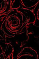 Red Roses On Black Background: 110 Page Blank Notebook - Ruled Paper Journal - 6 x 9 (15.24 x 22.86 cm) 1083050079 Book Cover