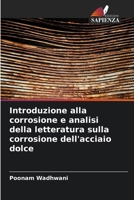 Introduzione alla corrosione e analisi della letteratura sulla corrosione dell'acciaio dolce (Italian Edition) 6208589762 Book Cover