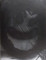 Nico Krijno Collages 2020-22 /anglais 9464660678 Book Cover