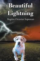 Beautiful Lightning 1941049699 Book Cover