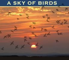 A Sky of Birds 0980217776 Book Cover