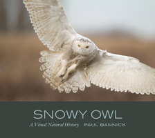 Snowy Owl: A Visual Natural History 168051315X Book Cover